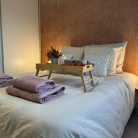 Lerelaisdodile - Cosy - Proche Metro - Parking Gratuit - Mons-en-barœul Appartement Mons-en-Baroeul