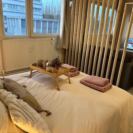Lerelaisdodile - Cosy - Proche Metro - Parking Gratuit - Mons-en-barœul Appartement