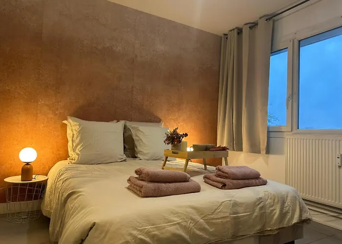 Lerelaisdodile - Cosy - Proche Metro - Parking Gratuit - Mons-en-barœul *